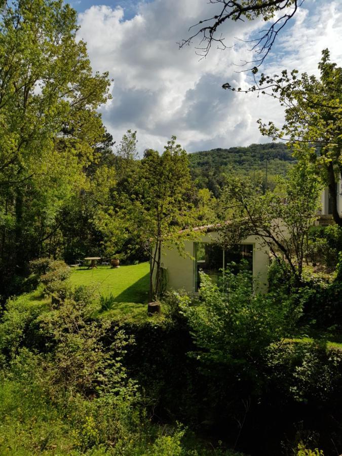Beautiful Studio Surrounded By Nature Lanet Eksteriør bilde