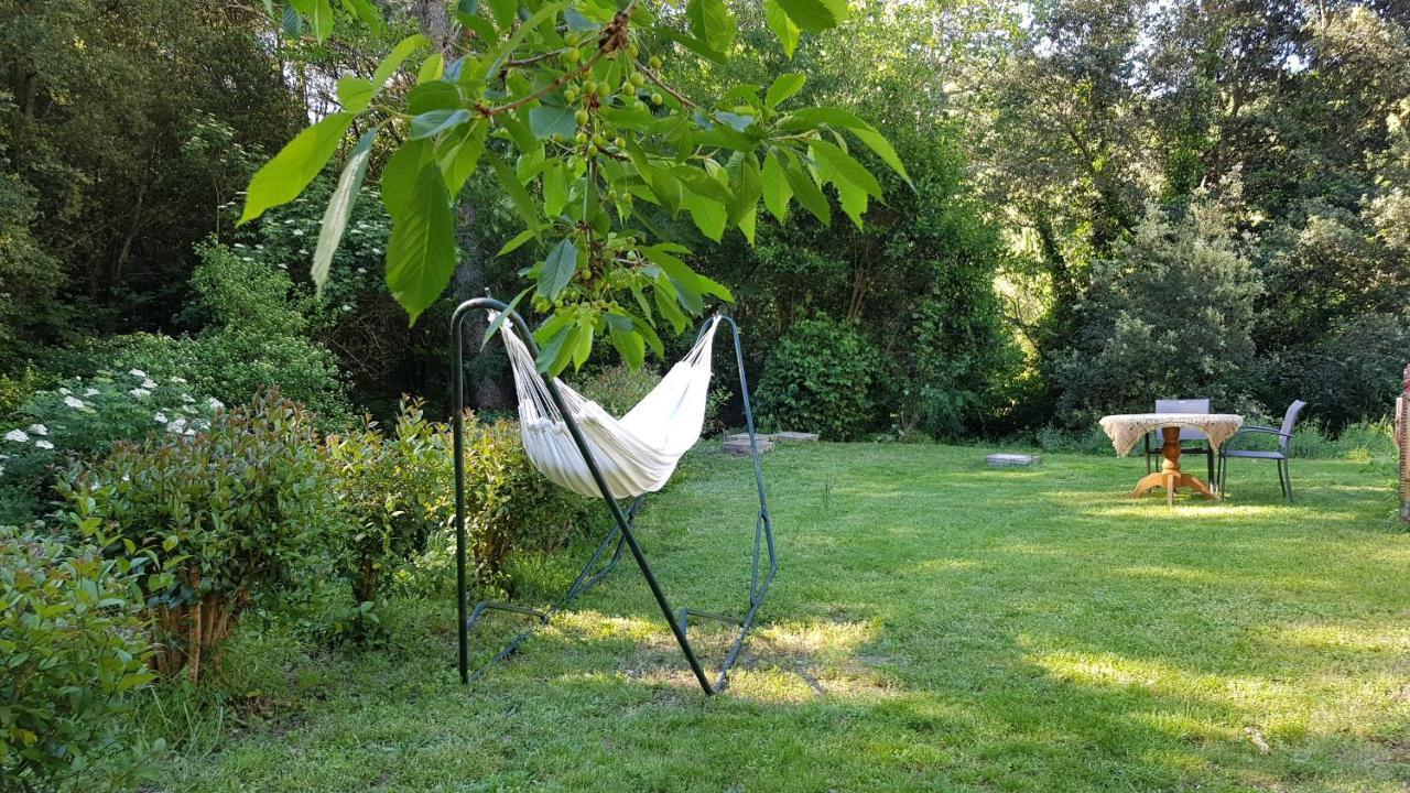Beautiful Studio Surrounded By Nature Lanet Eksteriør bilde