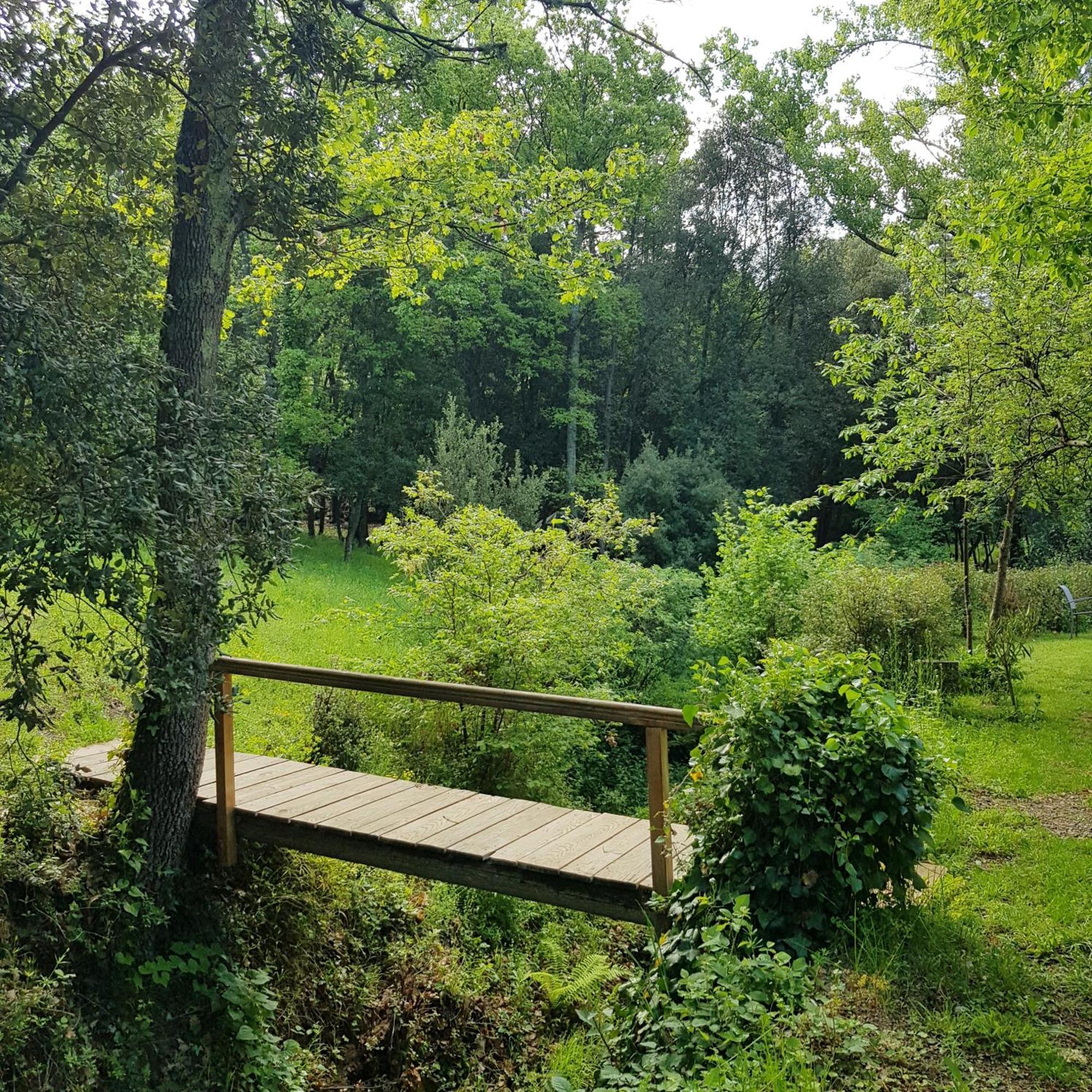 Beautiful Studio Surrounded By Nature Lanet Eksteriør bilde